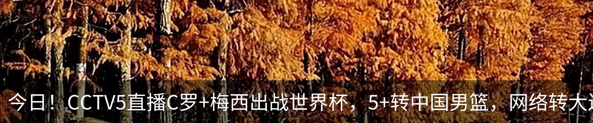 资讯动态