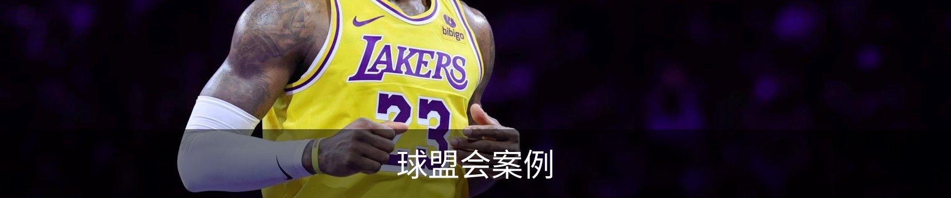 球盟会案例